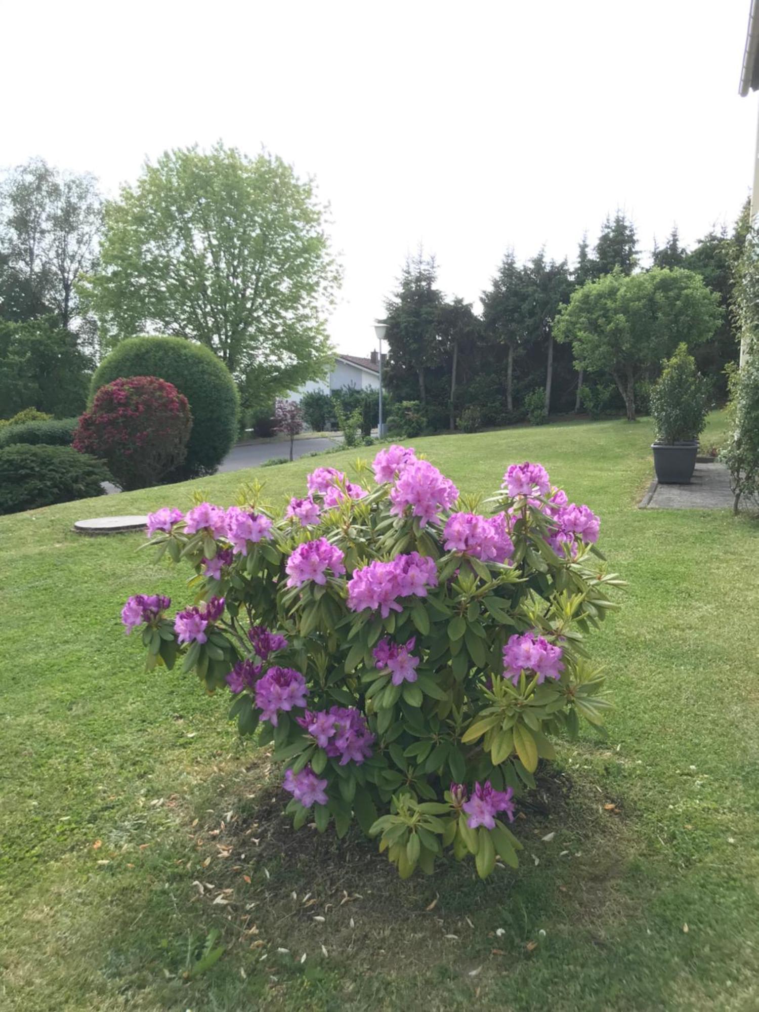 Erholung Im Westerwald ! Apartment *